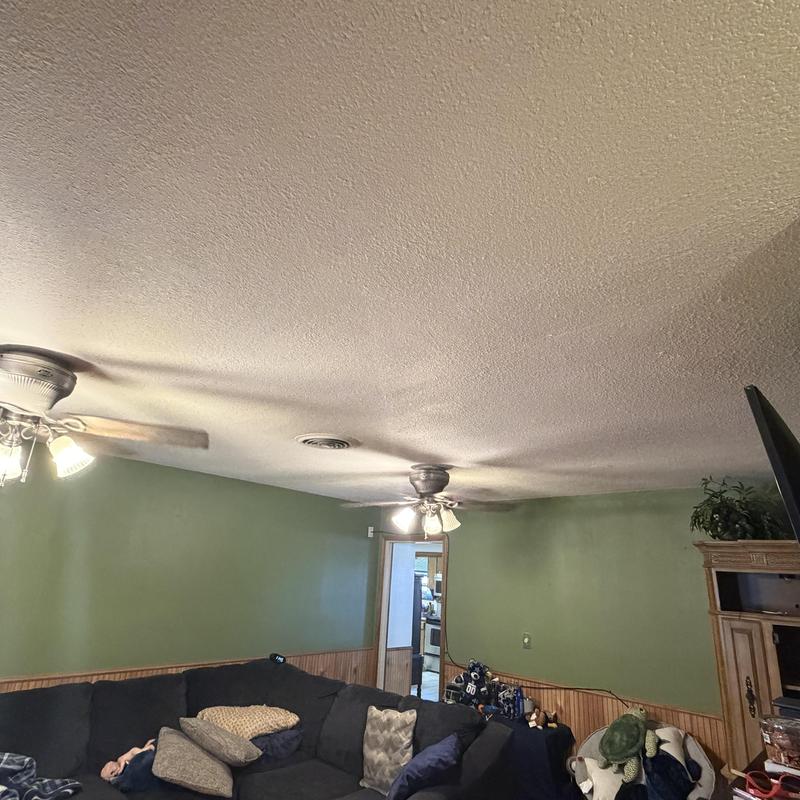 Sheetrock ceiling texture and paint in family room