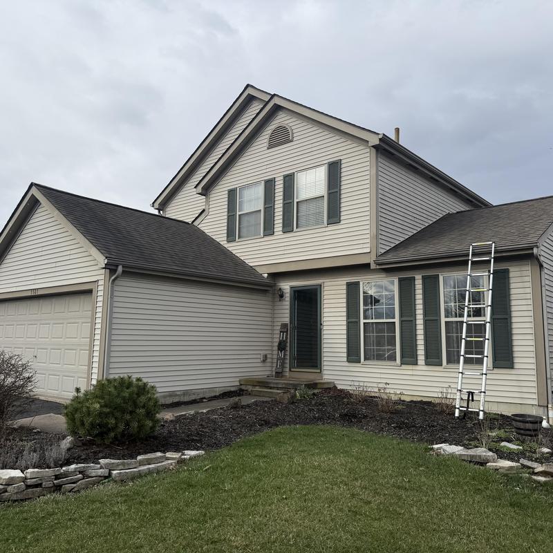 Roof shingles inspection with ladder against house Roof shingles inspection with ladder against house