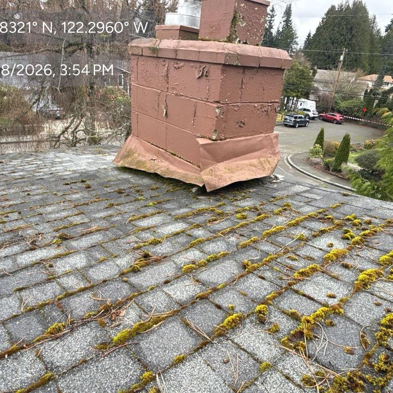 Roof shingles with moss growth near chimney flashing
