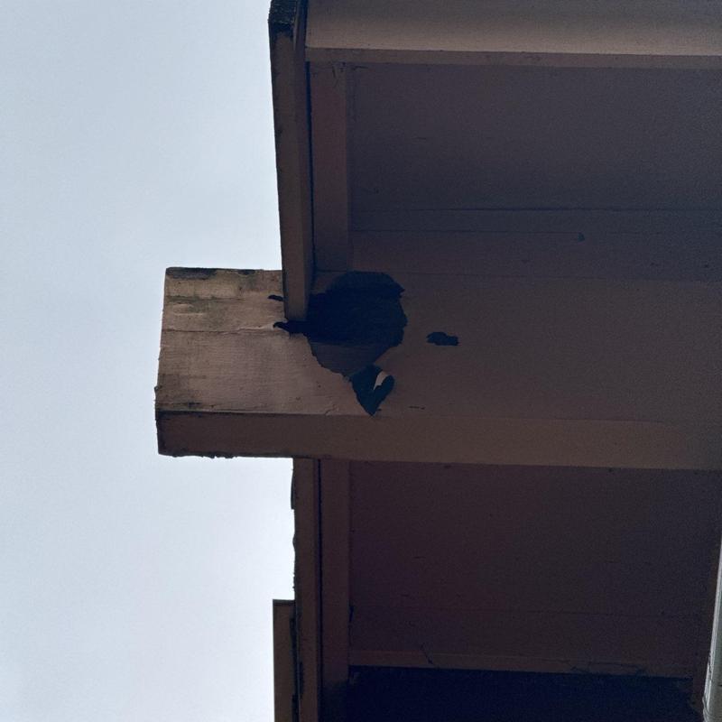 Eavestrough wood beam with paint damage and rot