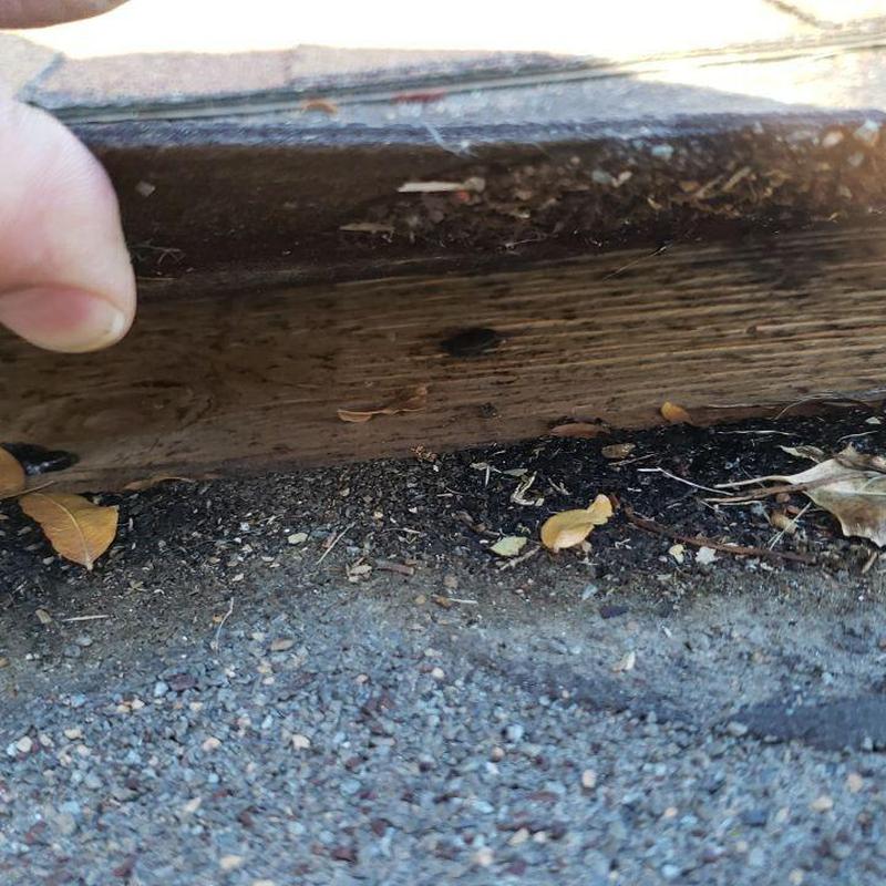 Modified flat roof with lifted seams and debris underneath Modified flat roof with lifted seams and debris underneath