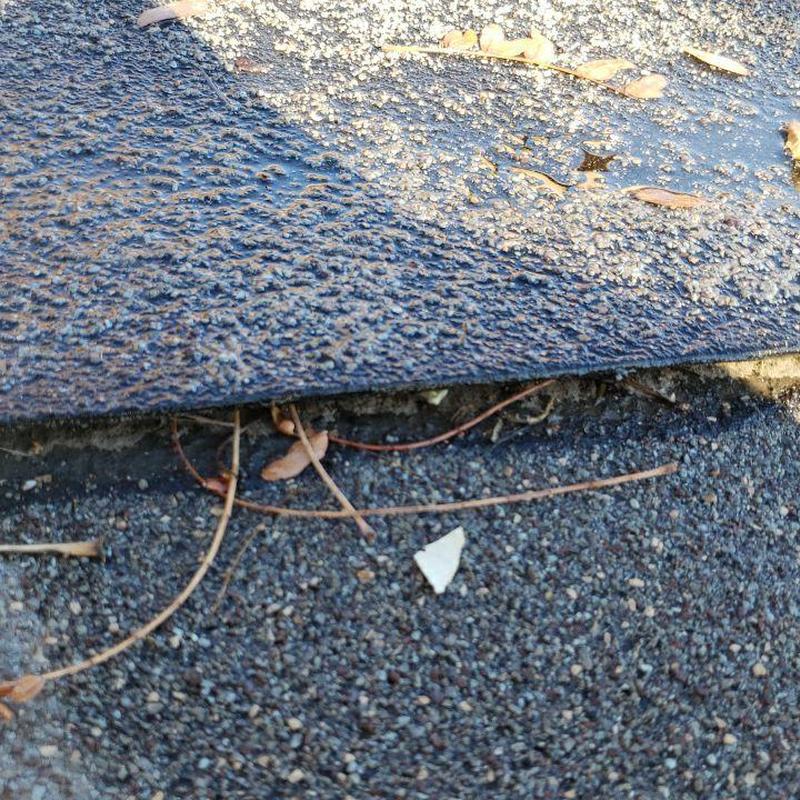 Modified flat roof with lifted loose seams and debris Modified flat roof with lifted loose seams and debris