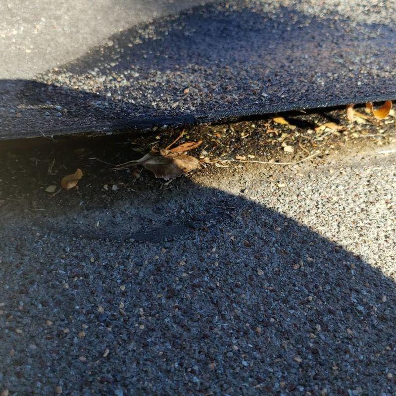 Modified flat roof with lifted seams and debris beneath Modified flat roof with lifted seams and debris beneath