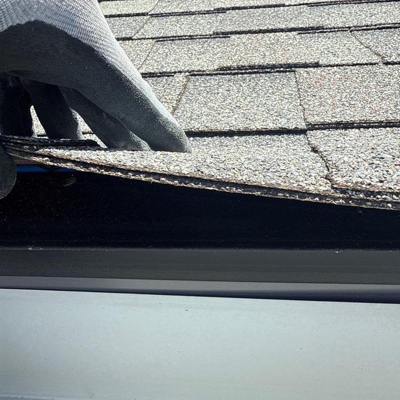Asphalt shingle roof lifted for hail damage inspection