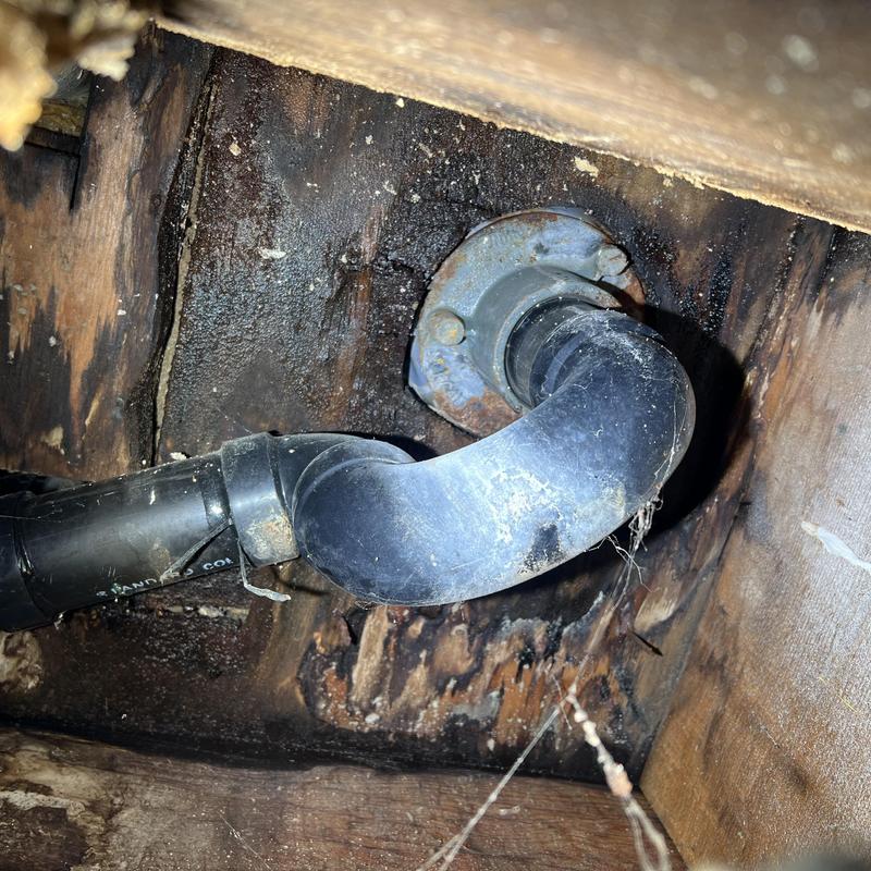 Shower drain pipe leaking, damaged surrounding wood