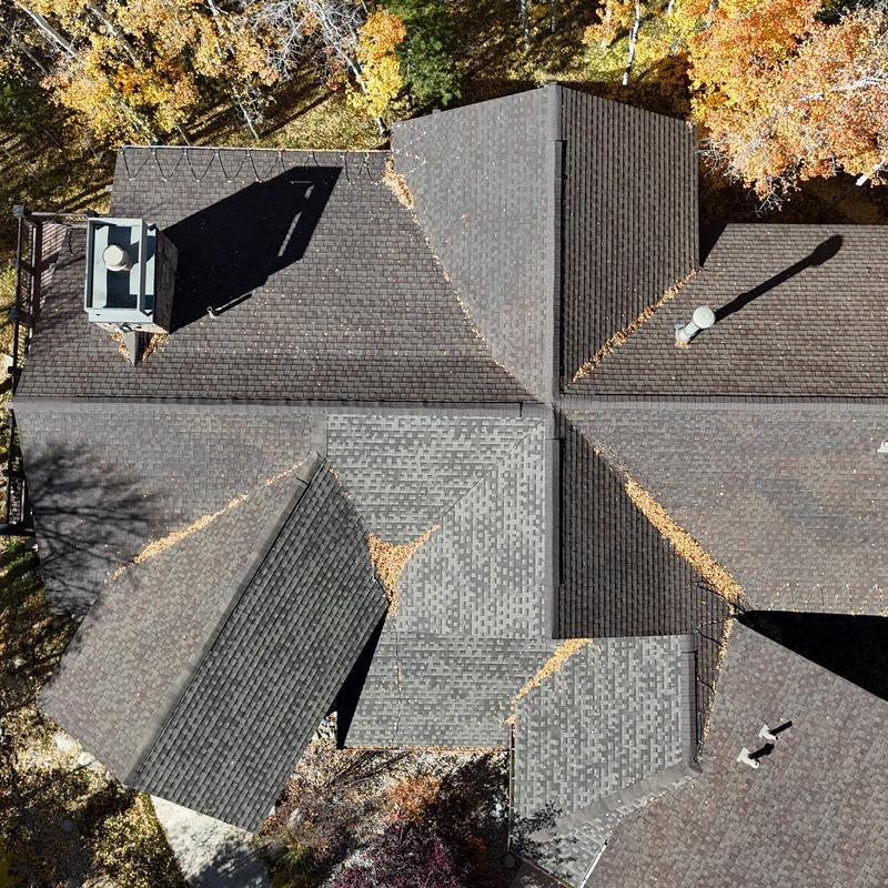 Asphalt shingle roof system with leaf debris Asphalt shingle roof system with leaf debris