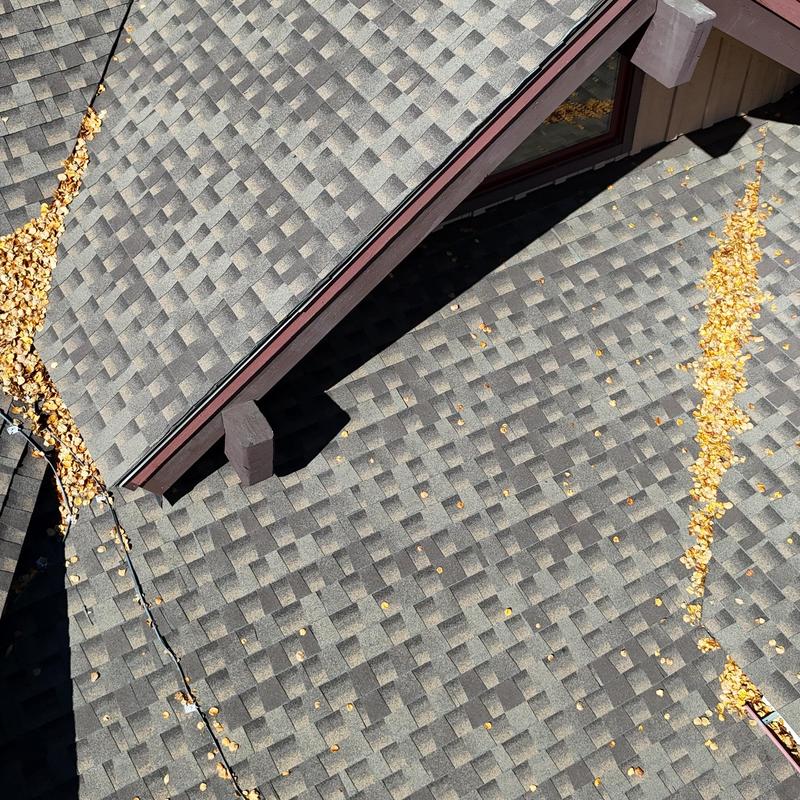 Asphalt shingle roof with leaf debris and ice dam lines Asphalt shingle roof with leaf debris and ice dam lines
