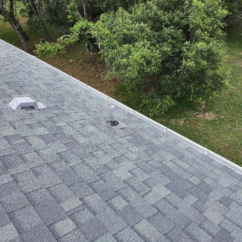 Plumbing boots on gray asphalt shingle roof near trees