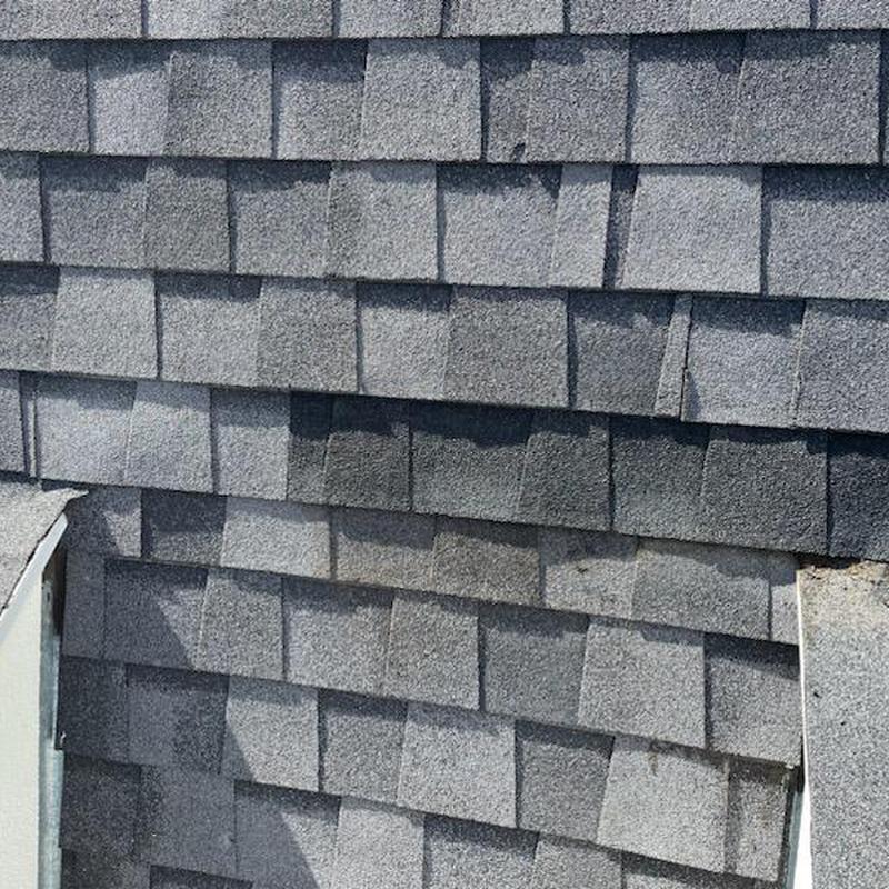 GAF 30-year shingles with sealed rodent holes