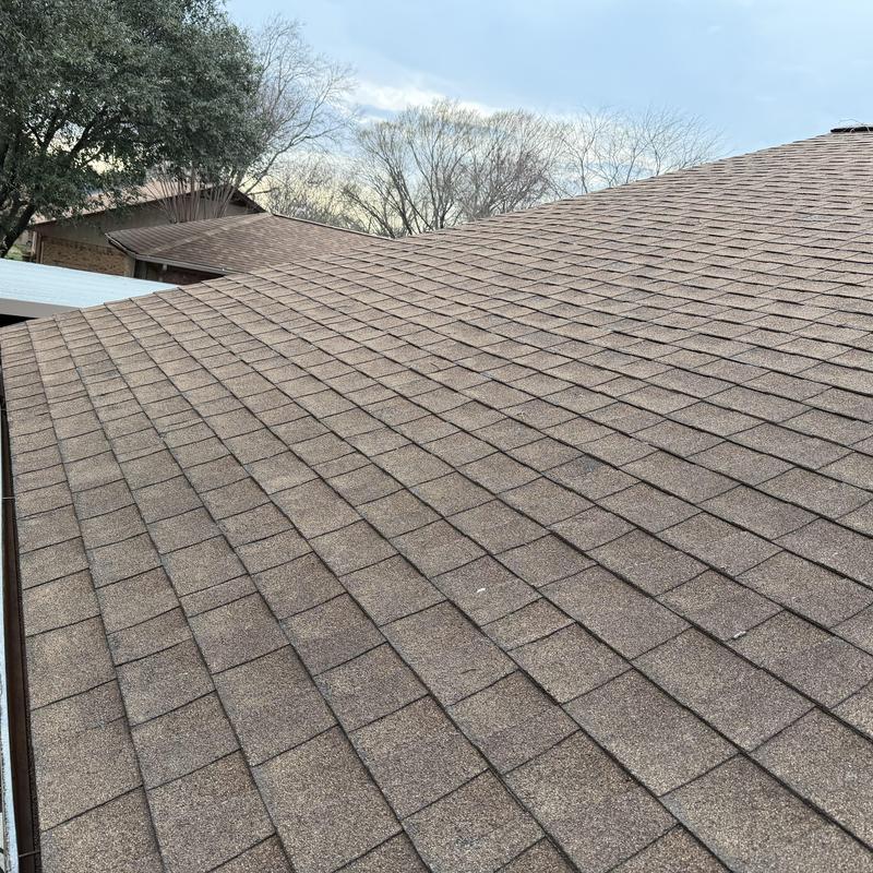 Asphalt shingle roof in Fort Worth during inspection