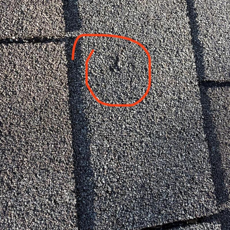 Roof shingles with visible damage marked in red circle