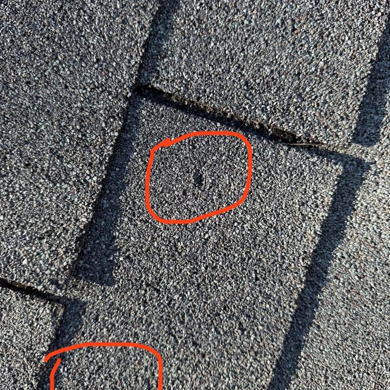 Asphalt roof shingles with hail damage spots marked