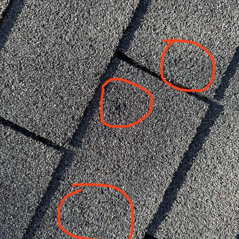 Roof shingles with hail damage circled in red