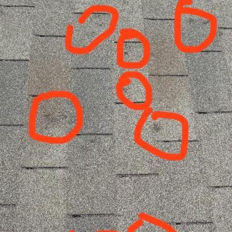 Asphalt shingle roof with hail damage marks circled in red