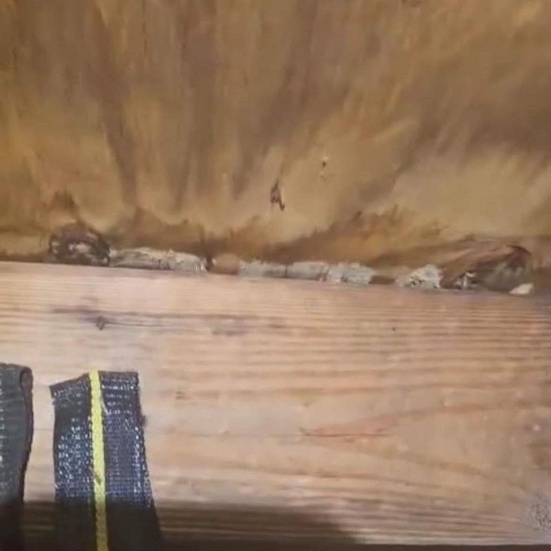 Roof decking with water damage and mold growth