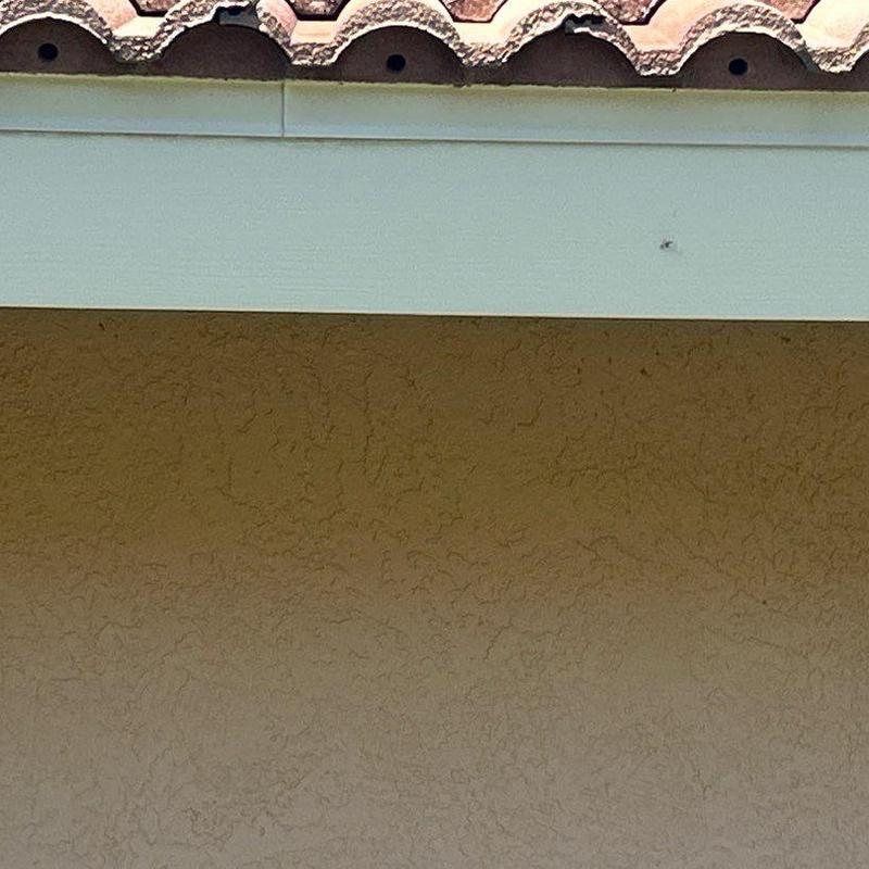 Concrete tile roof edge with soffit and fascia inspection