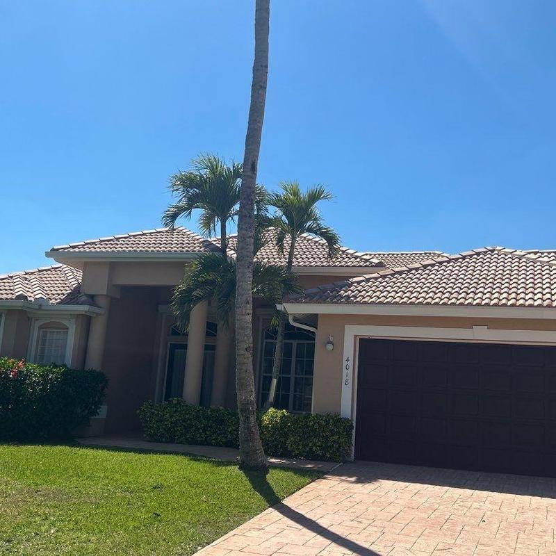 Concrete tile roof with palm trees and driveway