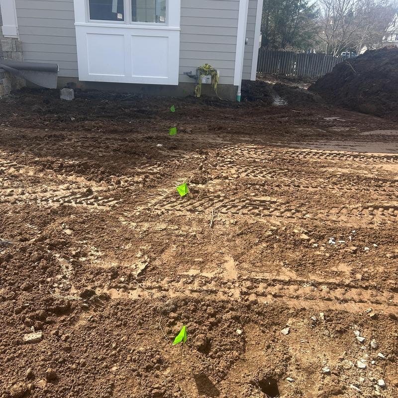 Sewer line excavation with green marker flags in dirt Sewer line excavation with green marker flags in dirt