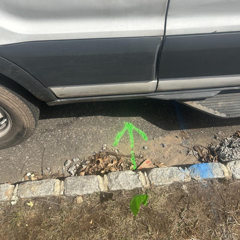 Sewer line location marked with green arrow on ground Sewer line location marked with green arrow on ground