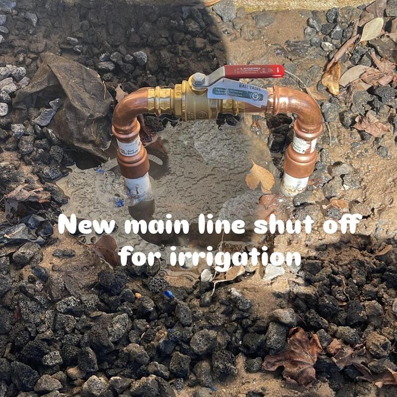 Brass irrigation main shut-off valve replacement