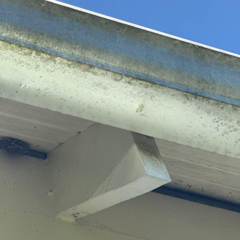 Roof gutter with dirt and moss buildup under blue sky