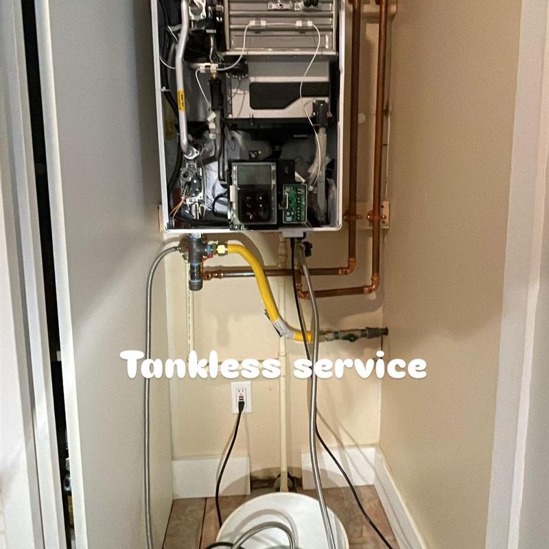 Tankless water heater flush and maintenance service