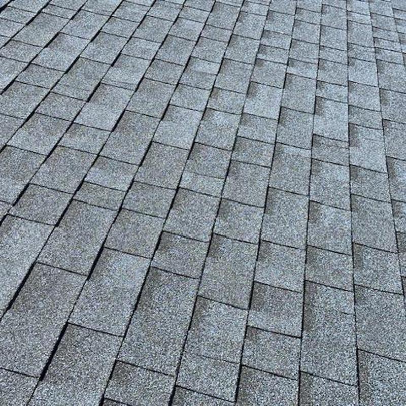 Asphalt shingle roof showing wear and aging