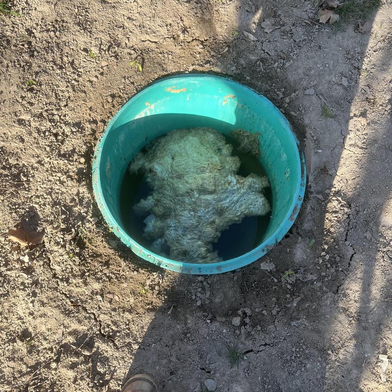 Septic tank with high water level and scum layer Septic tank with high water level and scum layer