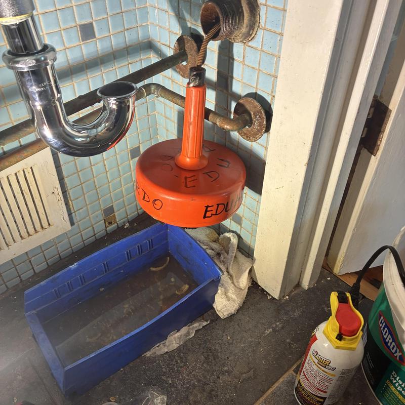 Basin P-trap and drain line with plumbing snake tool