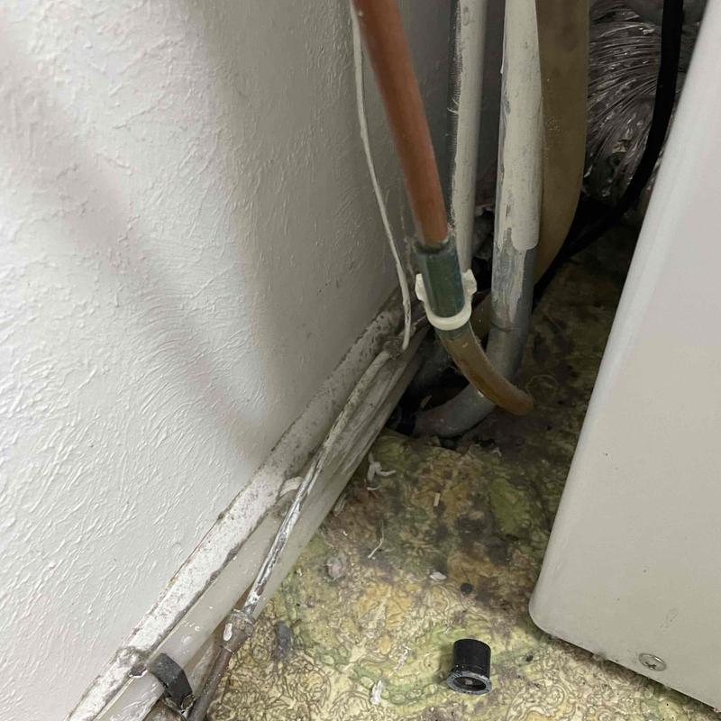 Copper and PVC water pipes beside washing machine