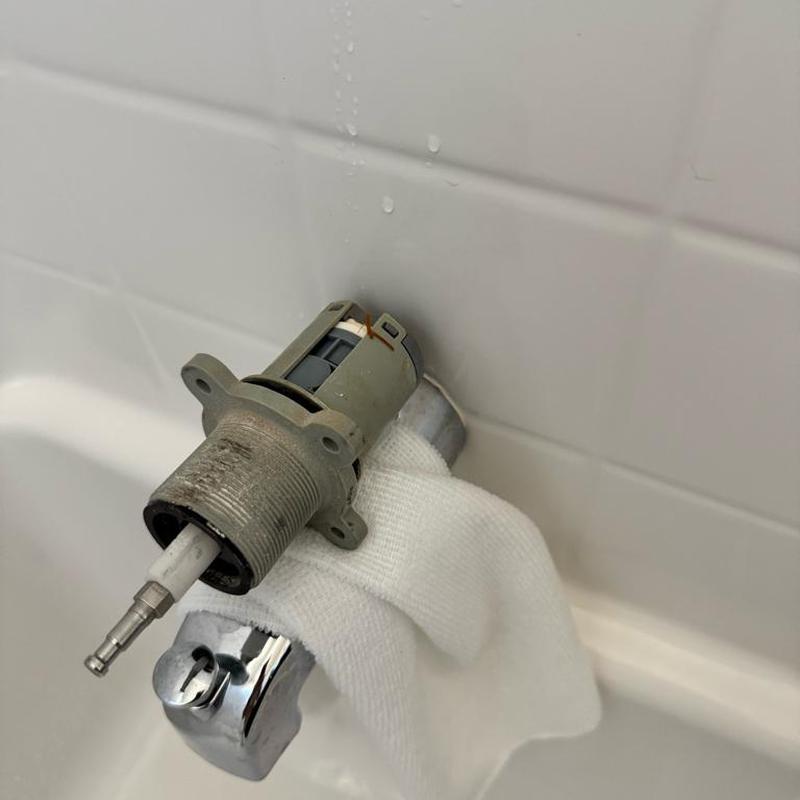 Price Pfister shower cartridge with towel in tub Price Pfister shower cartridge with towel in tub