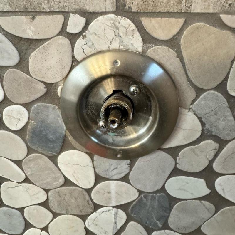 Moen shower diverter cartridge replacement base