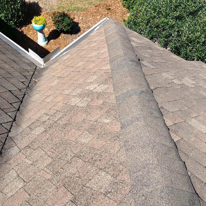 Asphalt shingle roof ridge inspection, no damage found Asphalt shingle roof ridge inspection, no damage found