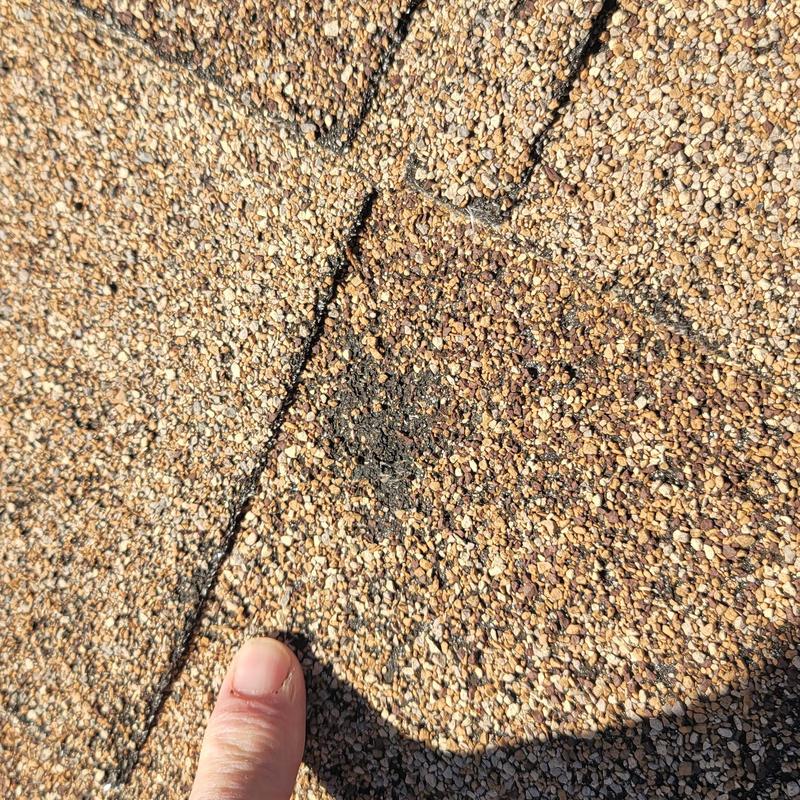 Asphalt shingle with hail damage and granule loss