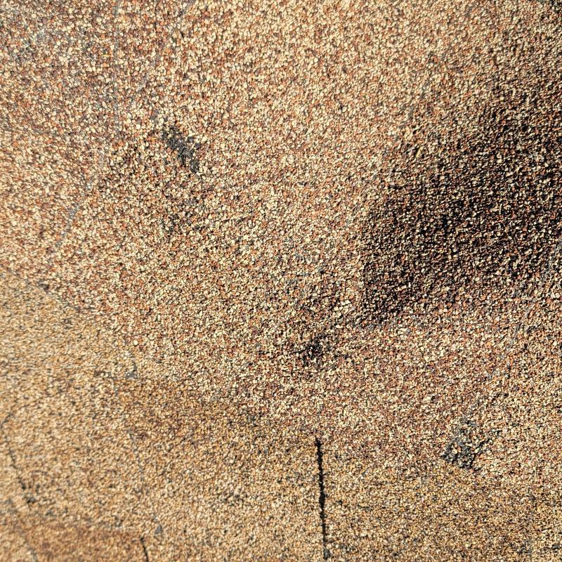 Roof shingles with hail damage close-up in Terrell, TX