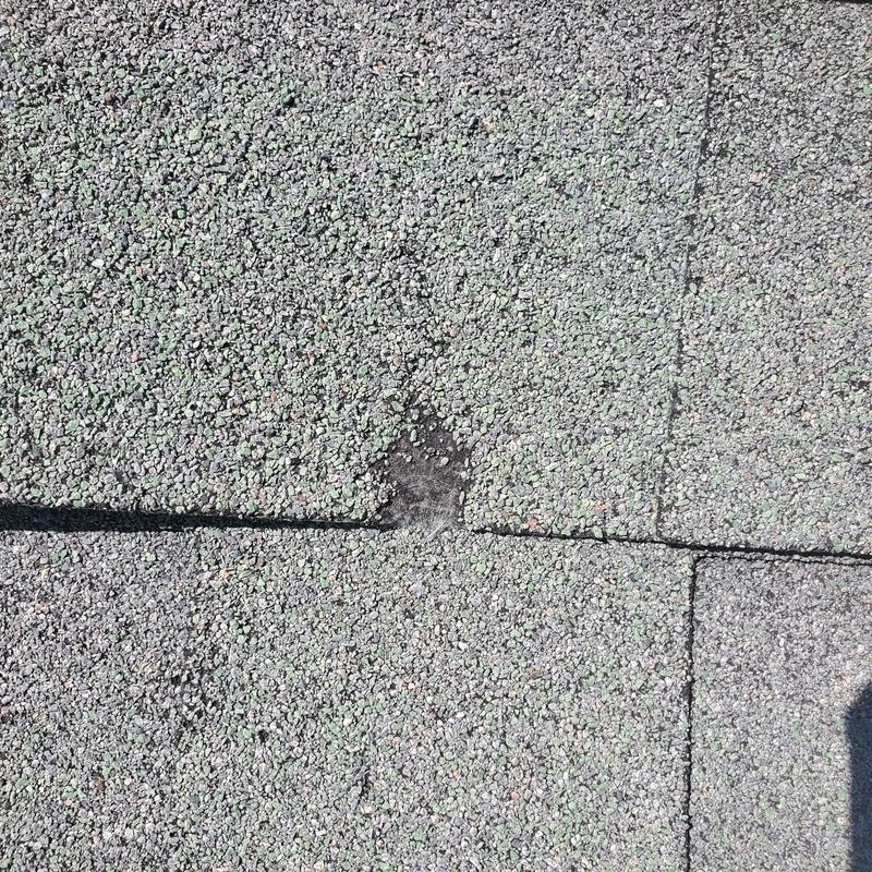Asphalt shingle roof with hail damage spot