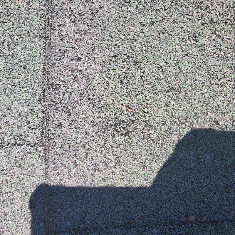 Asphalt roof shingles with hail damage close-up