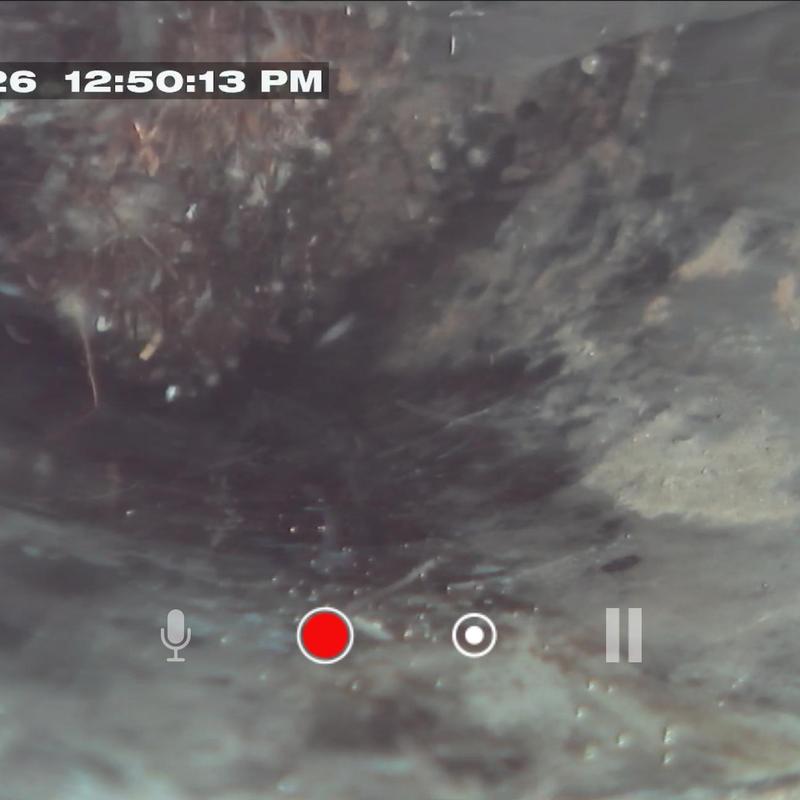 Main sewer line clogged with roots, drain camera view