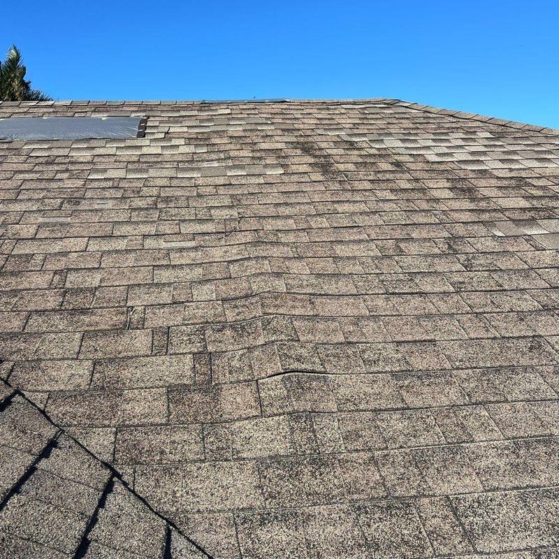 Shingle roof with visible buckling and damage spots