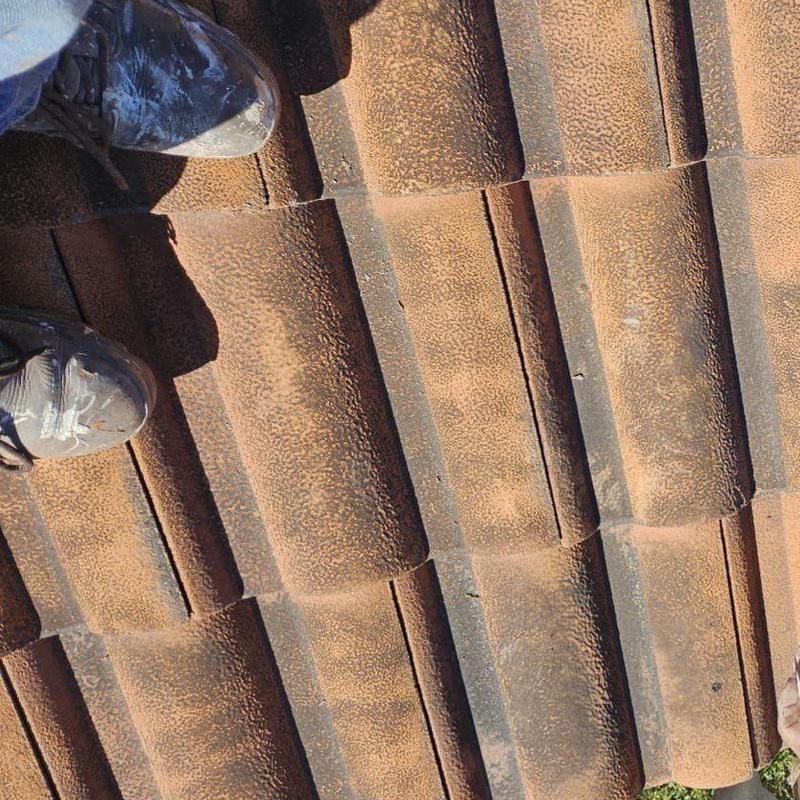 Concrete barrel roof tiles with repaired birdstop and tile