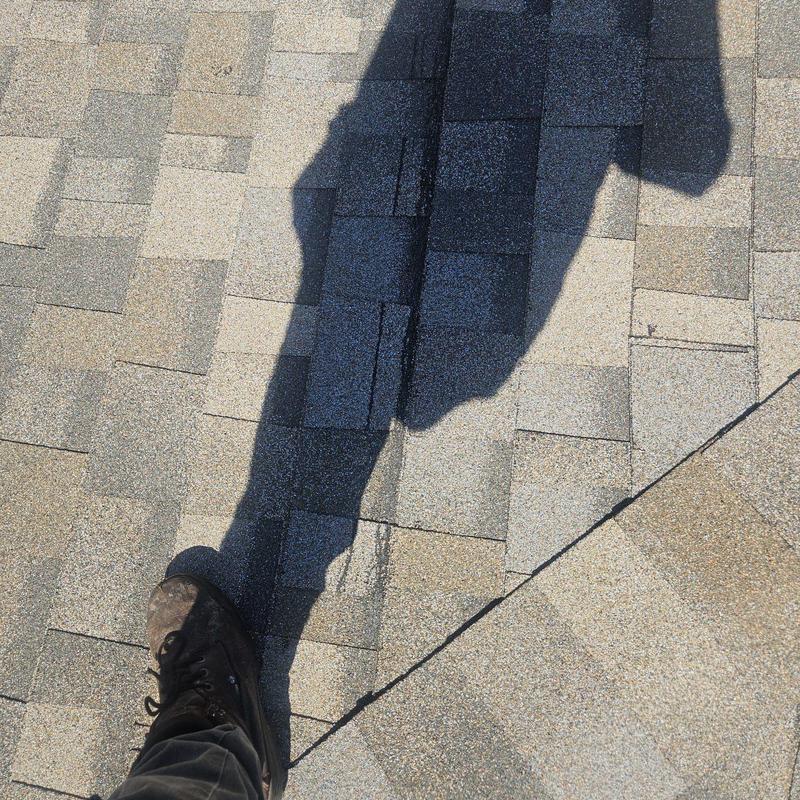 Shingle roof with replaced damaged shingles in Cape Coral