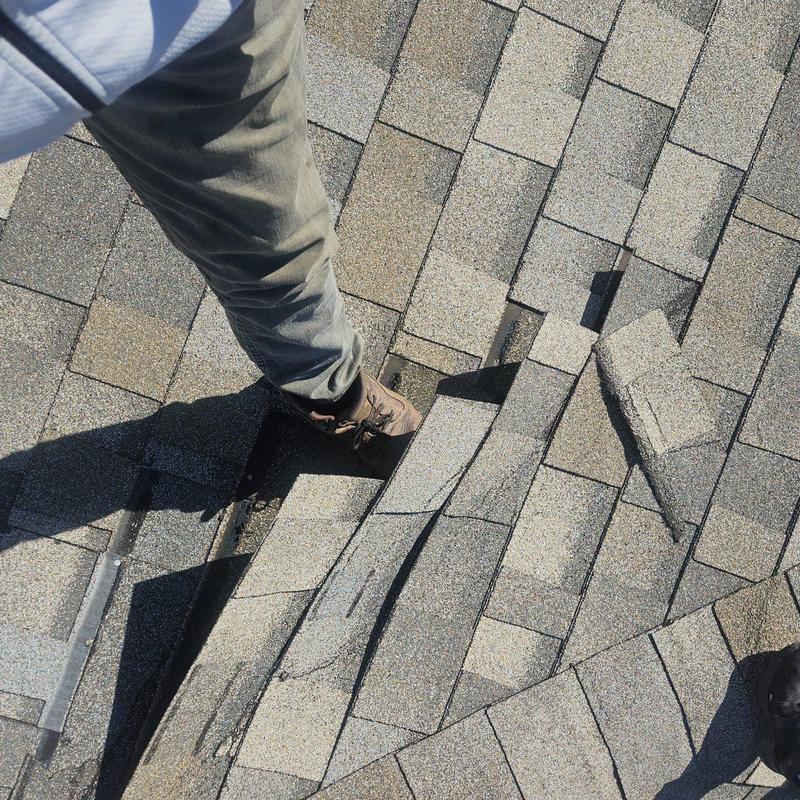 Shingle roof with lifted damaged shingles on inspection