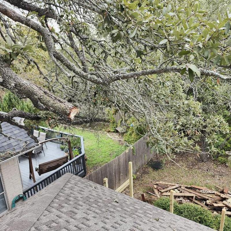 GAF Weatherwood shingles with trimmed tree branches over roof