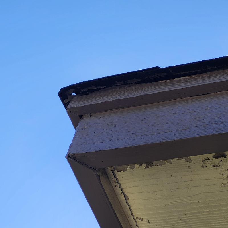 Roof shingles with tree damage and edge wear