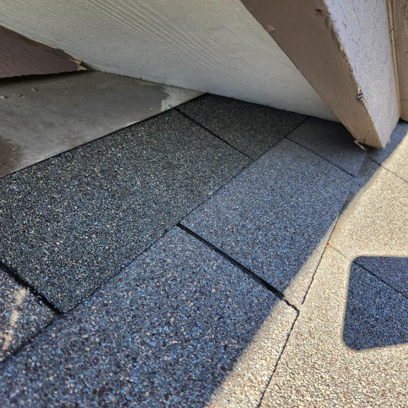 Roof shingles with sealed lifting and exposed fasteners