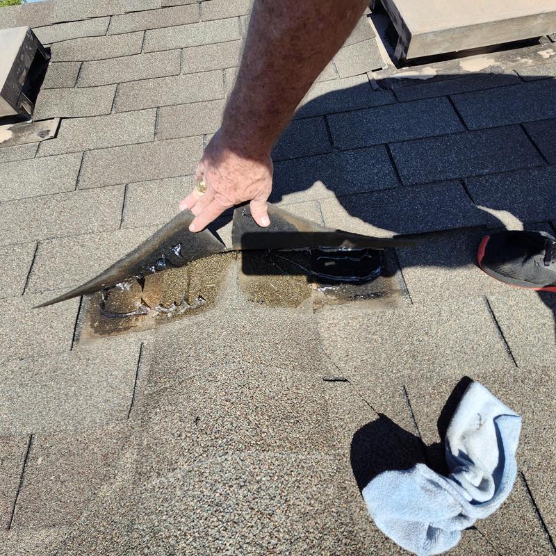 Asphalt roof shingles showing tree damage on repair job