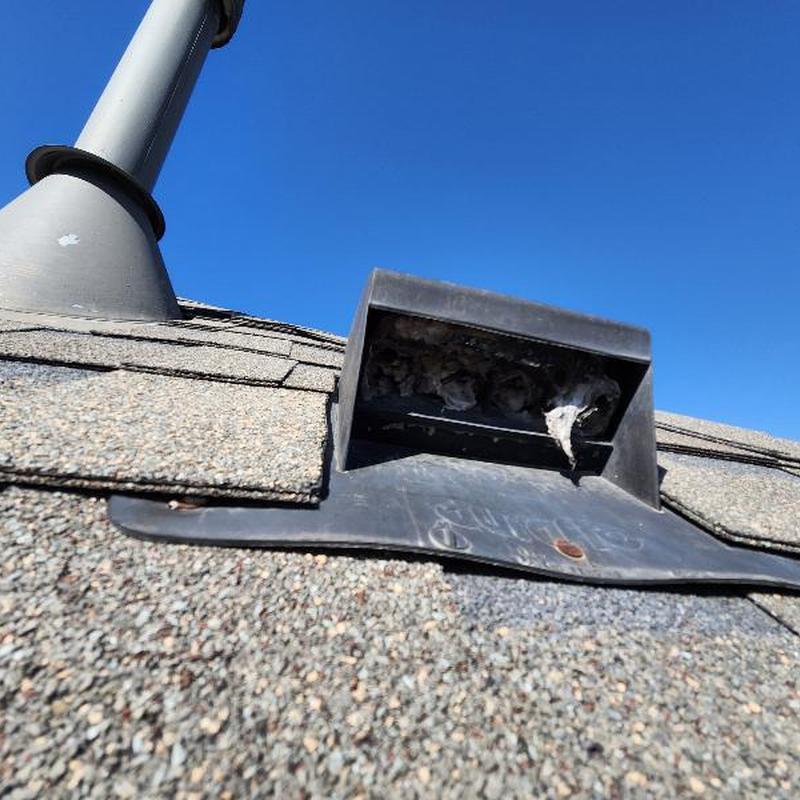 Dryer vent roof flashing with debris build-up on shingles