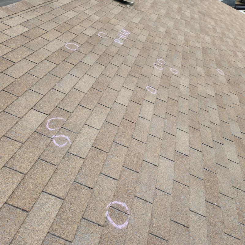 Asphalt shingles with chalked hail damage spots Asphalt shingles with chalked hail damage spots