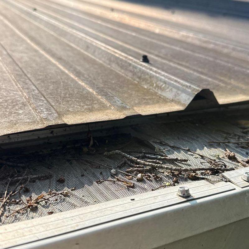 Gutter guard with debris buildup under metal roof edge