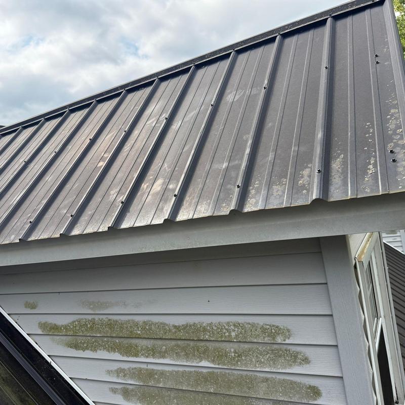 Metal roof panels with hail damage and moss growth